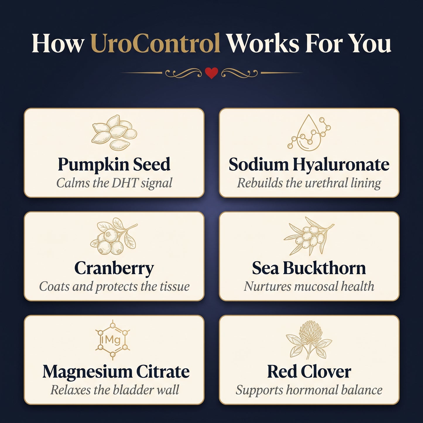 UroControl For Men